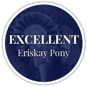 Excellent Eriskay Pony