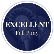 Excellent Fell Pony