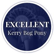 Excellent Kerry Bog Pony