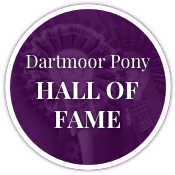 Dartmoor Pony Hall of Fame