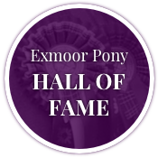 Exmoor Pony Hall of Fame