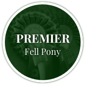 Premier Fell Pony