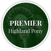 Premier Highland Pony