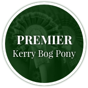 Premier Kerry Bog Pony