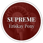 Supreme Eriskay Pony