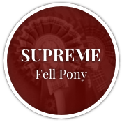 Supreme Fell Pony