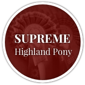 Supreme Highland Pony