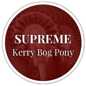 Supreme Kerry Bog Pony